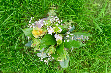 Image showing food greens