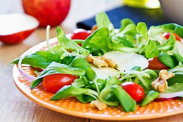 Image showing Mâche with Apple and Walnut salad