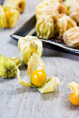 Image showing Cape Gooseberry 