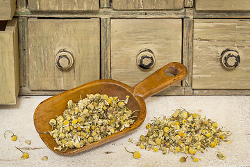Image showing organic chamomile herbal tea