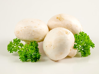 Image showing Champignon mushrooms and parsley