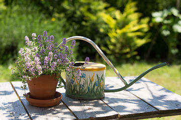 Image showing Watering can and flower