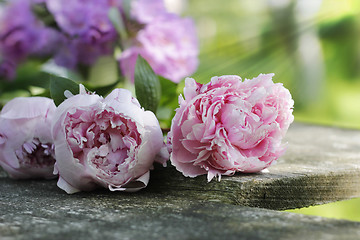 Image showing peonies on wooden plank
