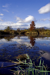 Image showing boat fall down autumn lake  