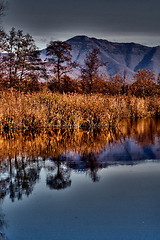 Image showing abstract  and marsh  