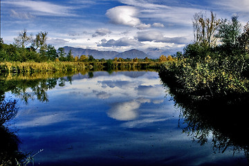 Image showing marsh moor