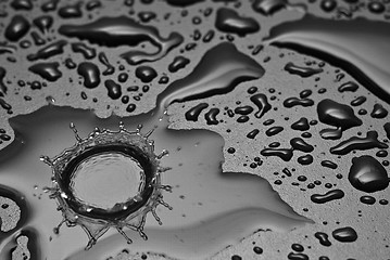 Image showing A water drop forms a crown