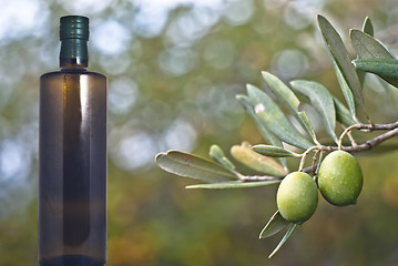 Image showing Green olives and bottle