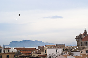 Image showing View of Palermo with roofs and seagulls