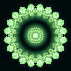 Image showing Abstract green shape on black