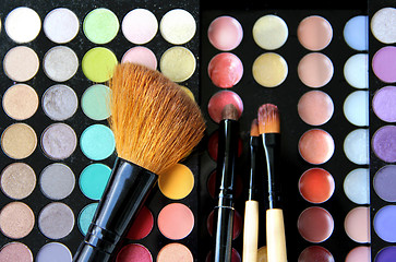 Image showing Makeup palette and brushes