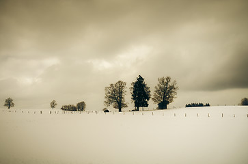 Image showing winter scenery