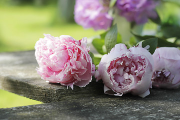 Image showing peonies on wooden plank