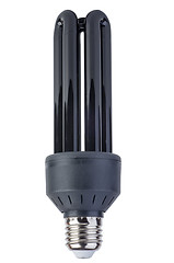 Image showing Black (UV) fluorescent lamp with e27 base