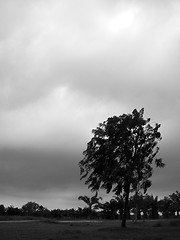 Image showing cloudy day