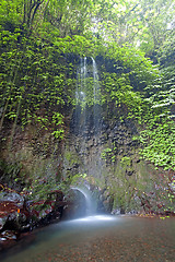 Image showing Gitgit Waterfalls