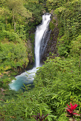 Image showing Gitgit Waterfalls