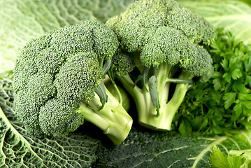 Image showing Cabbage of a broccoli