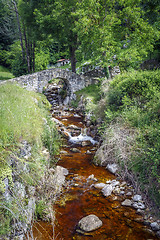 Image showing Poo de Cabrales