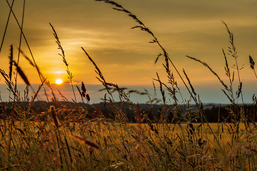 Image showing summer sunset over grass field