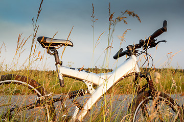 Image showing bike parked in a meadow