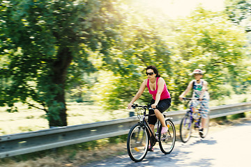 Image showing Mother with sons on bicycle trip