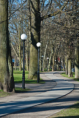 Image showing Avenue in park Kadriorg, in the early spring