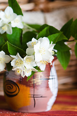 Image showing Beautiful flowers of a jasmin in a pot, close up