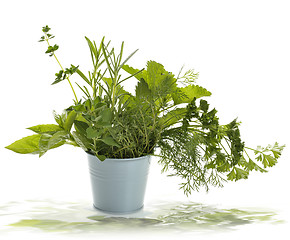 Image showing Fresh Herbs 