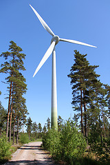 Image showing Wind Turbine in Pine Forest