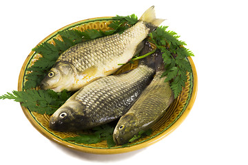 Image showing Three carp on ceramic dish and greens