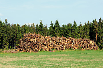 Image showing Heap of Stump Wood as Logging Residue