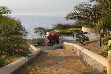 Image showing Shores of Langano Lake