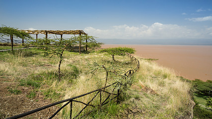 Image showing Shores of Langano Lake