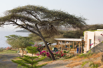 Image showing Shores of Langano Lake