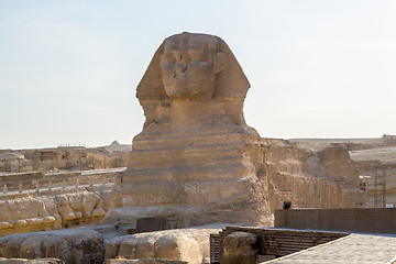 Image showing Sphinx