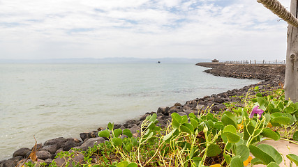 Image showing Red sea shores