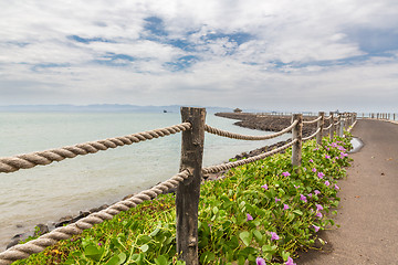 Image showing Red sea shores