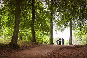 Image showing Family walk in the forest