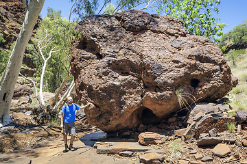 Image showing Dales Gorge Australia