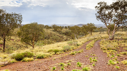 Image showing Dales Gorge Australia