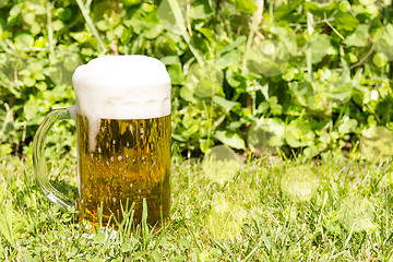 Image showing Glass with beer on the green grass