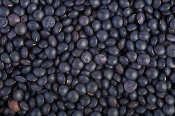 Image showing Background of black Beluga Lentils