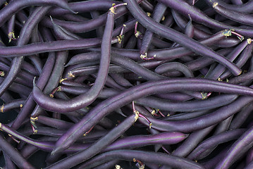 Image showing Purple Wax Snap Beans background