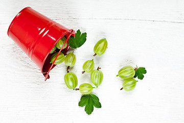 Image showing green gooseberry in metal bucket 