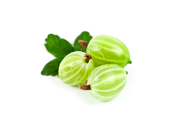 Image showing gooseberries with leaves 