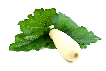 Image showing fresh zucchini with green leaves