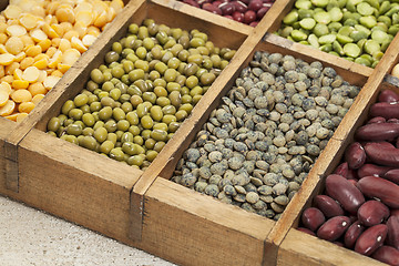 Image showing pea, lentil, bean abstract