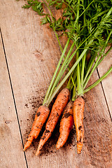 Image showing fresh carrots bunch