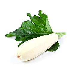 Image showing fresh zucchini with green leaf